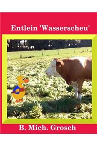 Entlein 'Wasserscheu'