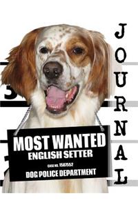 Most Wanted English Setter Journal