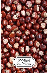 Notebook Journal Dot-grid Walkerfruit