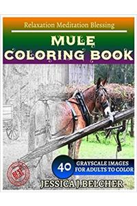 Mule Coloring Book for Adults Relaxation Meditation Blessing