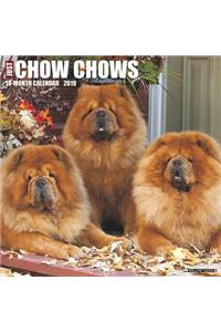 Just Chow Chows 2019 Wall Calendar (Dog Breed Calendar)