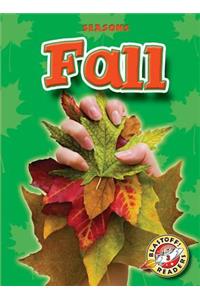 Fall