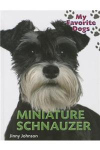 Miniature Schnauzer