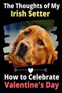 Thoughts of My Irish Setter
