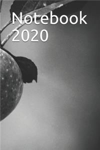 Notebook 2020