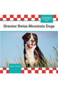 Greater Swiss Mountain Dogs