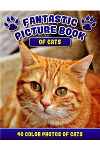 Fantastic Picture Book of Cats. 40 Color Photos of Cats