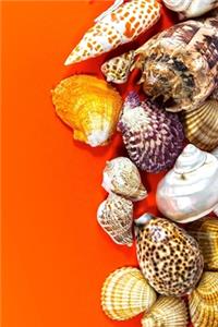 Seashells on Orange Journal