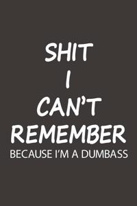 Shit I Can't Remember Because I'm A Dumbass