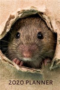 2020 Planner (6x9inch)