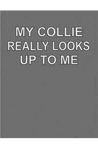 My Collie Really Looks Up To Me