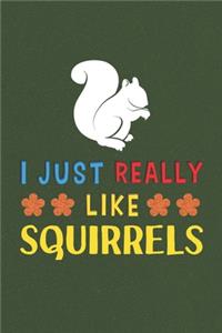 I Just Really Like Squirrels