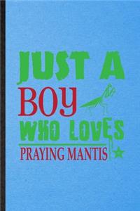 Just a Boy Who Loves Praying Mantis