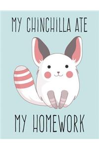 My Chinchilla Ate My Homework