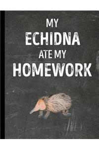 My Echidna Ate My Homework