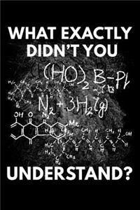 What Exactly Didn't You Understand?