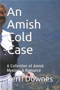 An Amish Cold Case