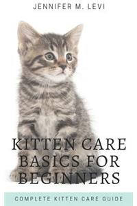 Kitten Care Basics for Beginners