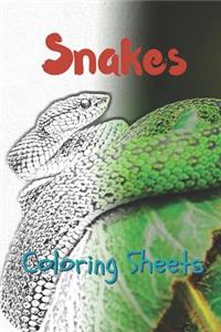 Snake Coloring Sheets