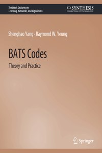 Bats Codes: Theory and Practice