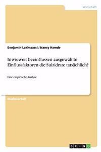 Inwieweit beeinflussen ausgewählte Einflussfaktoren die Suizidrate tatsächlich?