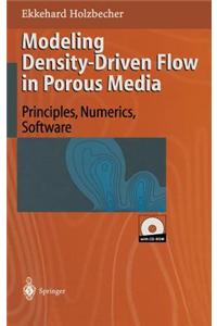 Modeling Density-Driven Flow in Porous Media