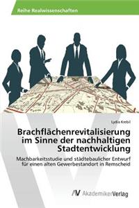 Brachflächenrevitalisierung im Sinne der nachhaltigen Stadtentwicklung