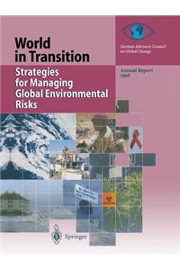 Strategies for Managing Global Environmental Risks