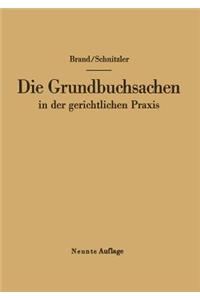 Die Grundbuchsachen in Der Gerichtlichen PRAXIS