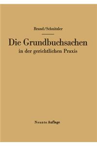 Die Grundbuchsachen in Der Gerichtlichen Praxis