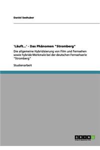 'Läuft...' - Das Phänomen "Stromberg": Die allgemeine Hybridisierung von Film und Fernsehen sowie hybride Merkmale bei der deutschen Fernsehserie "Stromberg"