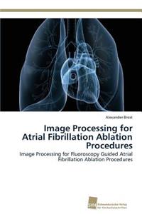 Image Processing for Atrial Fibrillation Ablation Procedures