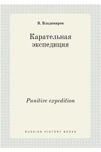 Punitive Expedition