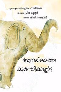 Why The Elephant Has Tiny Eyes / Aanekendhe Kunjikannu? (Malayalam)