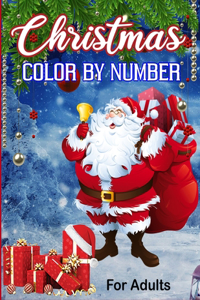 Christmas Color By Number For Adults
