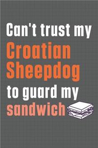 Can't trust my Croatian Sheepdog to guard my sandwich