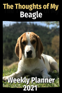 Thoughts of My Beagle