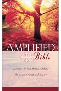Amplified Bible, Bonded Leather, Burgundy, Indexed
