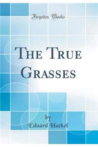 The True Grasses (Classic Reprint)