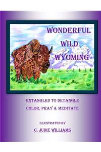 Wonderful Wild Wyoming
