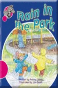 Spotty Zebra Pink B Change Rain in the Park (x6)