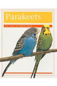 Pets: Parakeets