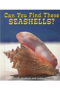 Can You Find These Seashells?