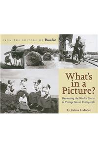 What's in a Picture?