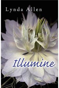 Illumine