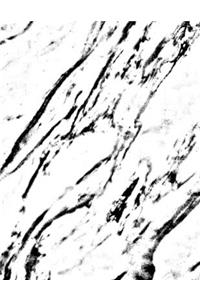 Marble Notebook