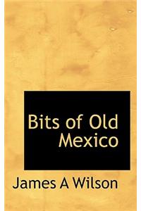 Bits of Old Mexico