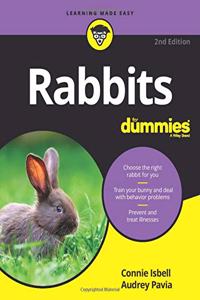 Rabbits for Dummies