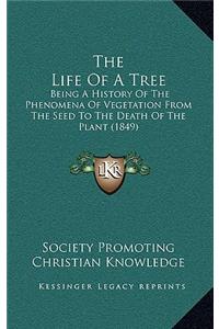 The Life Of A Tree