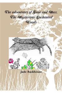 adventures of Jane and Max. The Mysterious Enchanted Woods